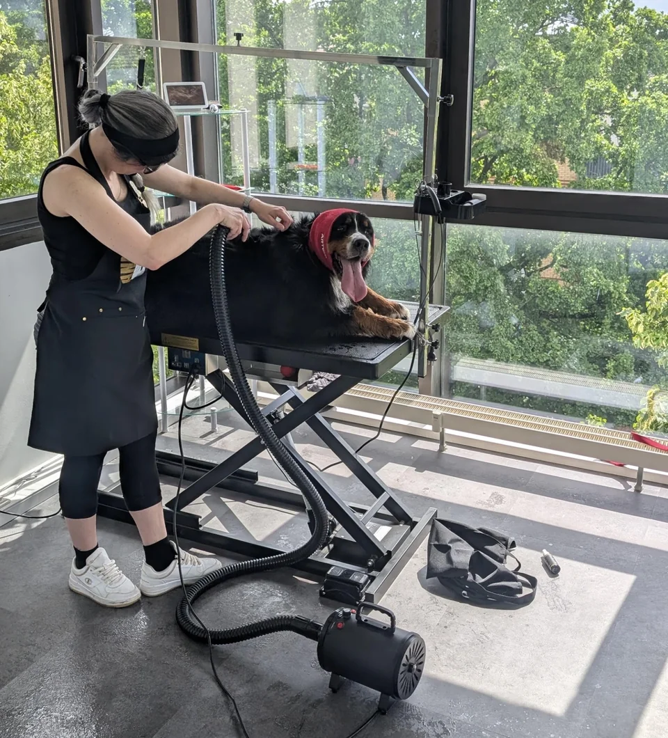 Christin bei der Fellpflege im Salon